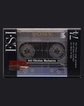 Sony Es I (1991 Jp) Blank Cassette Tape. Fixed Price $30.51.
