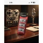 Sony MC-60 Microcassette 3 Pack Minute Voice Recording Tapes New Sealed. Fixed Price $20.00.