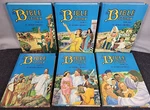The Bible Story Vol 5-10 By Arthur S. Maxwell Lot Of 6 R&h Publishing. Fixed Price $49.95.